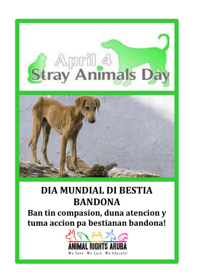 April 4 Stray Animals Day ! | Animal Rights Aruba