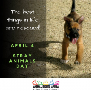April 4 – Stray Animals Day | Animal Rights Aruba