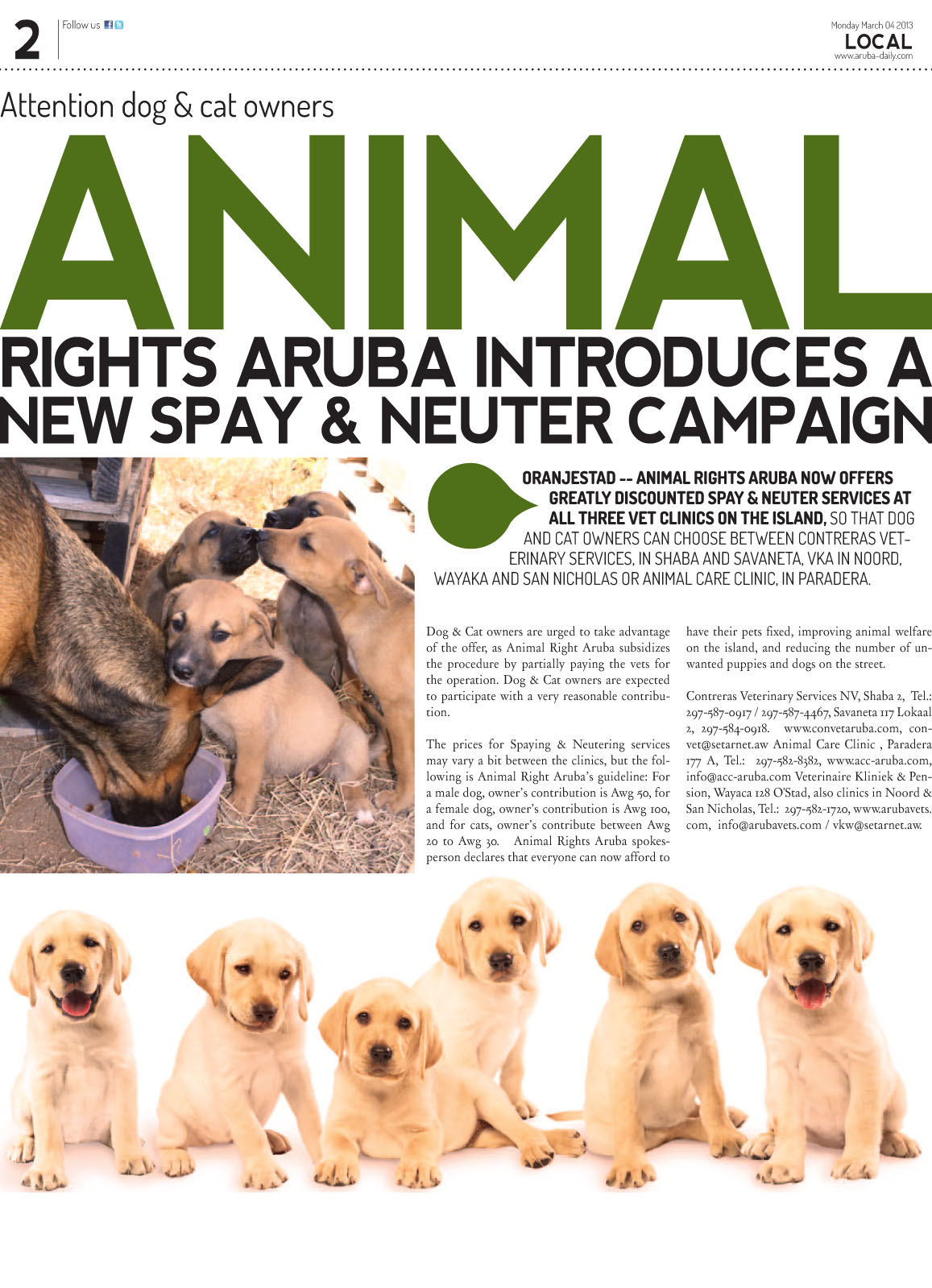 Attention dog & cat owners Animal Rights Aruba introduces a new Spay &  Neuter campaign | Animal Rights Aruba